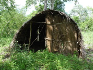 Sacred Mijikenda Kaya Forests (Kenya)