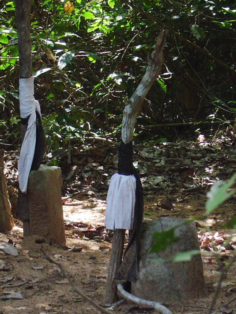 Sacred Mijikenda Kaya Forests (Kenya)