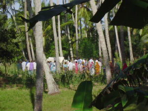 Sacred Mijikenda Kaya Forests (Kenya)