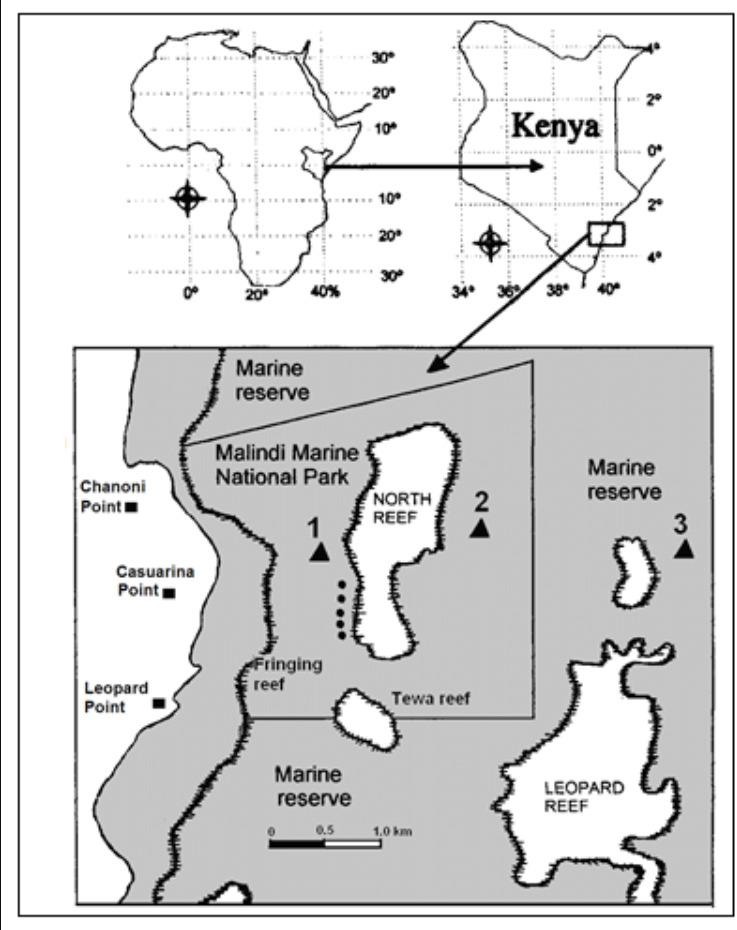 malindi marine national park & reserve